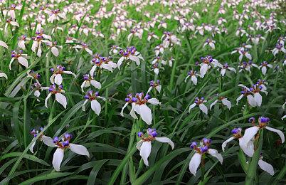 《传颂之物：斩2》20分试玩视频发布 详解游戏系统